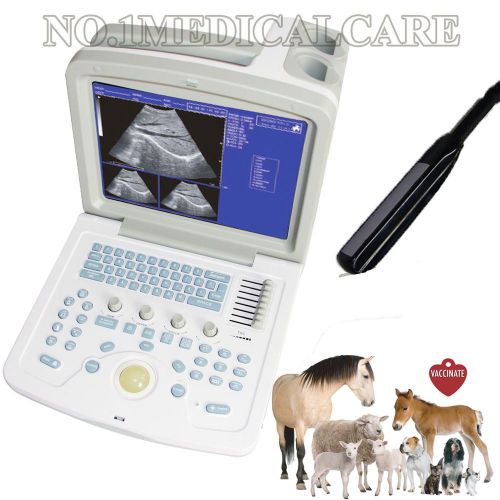 Veterinary Digital Ultrsound Scanner with 6.5Mhz Rectal Probe,CMS600B3