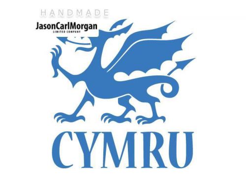 JCM® Iron On Applique Decal, Cymru Sky Blue