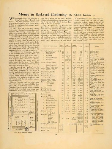 1911 Article Backyard Gardening Plan Adolph Kruhm Money - ORIGINAL GM1