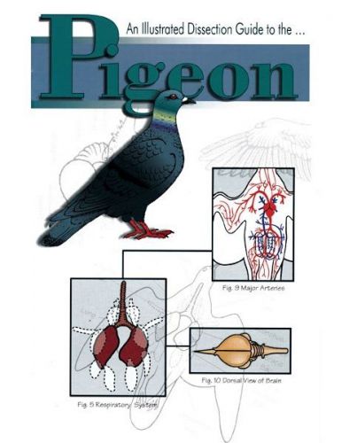 Illustrated Dissection Guide Book to the Pigeon