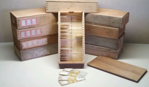 Antique Microscope Slides with Wood Dovetail Storage Boxs
