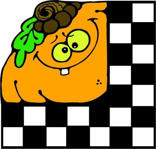 30 Custom Pumpkin Checkerboard Personalized Address Labels