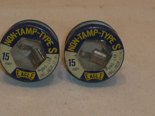 Eagle S-Type Tamper Proof Time Delay Plug Fuse 15 Amp, 2 Pack