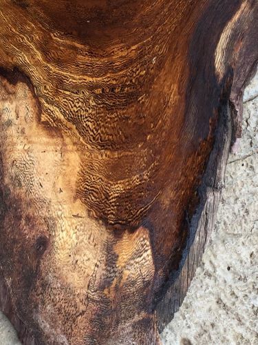 Rare Hawaiian Pheasantwood Live Edge Reclaimed Slabs 2@24&#034;x8-11x1&#034; For Woodwork