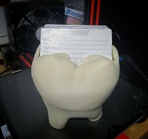 Realistic Tooth Business Card Holder