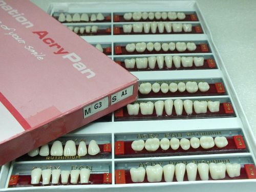 Dental teeth set shade - A1 size - G3