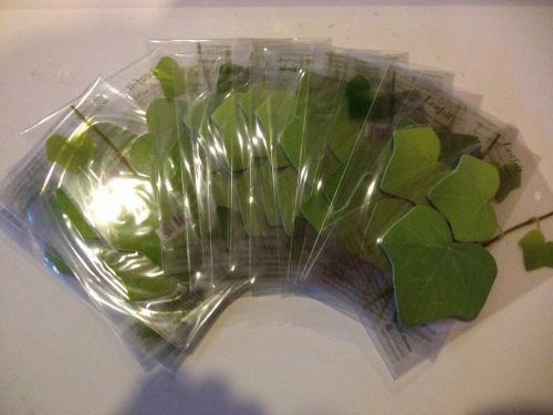 Korea Simulation Green Leaf Sticky Note Memo Pad Leaf-it Lot of 20