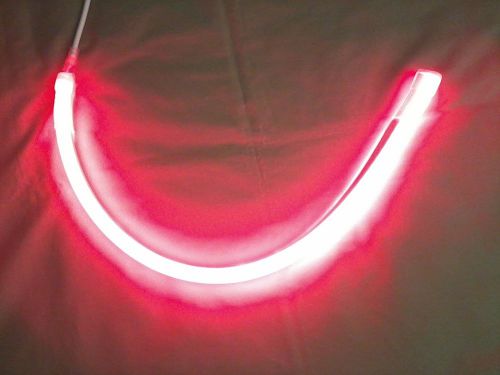 30&#034; Red Neon Flex Plus Light, 110V, #220002