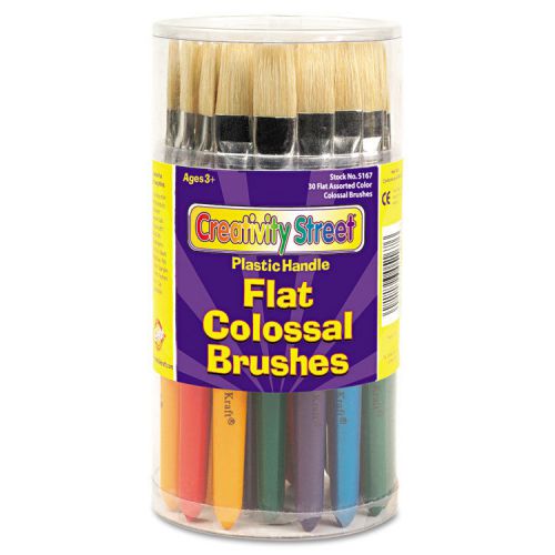 Colossal brush, natural bristle, flat, 30/set for sale