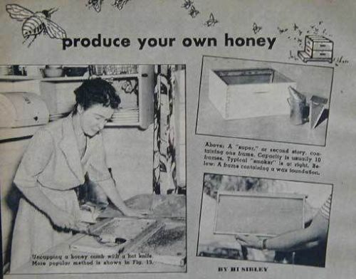 Beekeeping How-To build Hives Supers Frames PLANS honey
