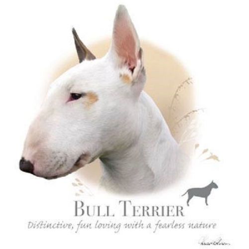 Bull Terrier Dog HEAT PRESS TRANSFER PRINT for Shirt Sweatshirt Bag Fabric 822b