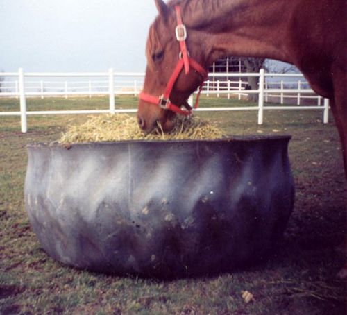 1 Rubber Horse Hay Feeder recycled tractor tire FREE Shipping**