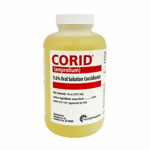 Corid 9.6% Oral Solution for Cattle - 16 oz.
