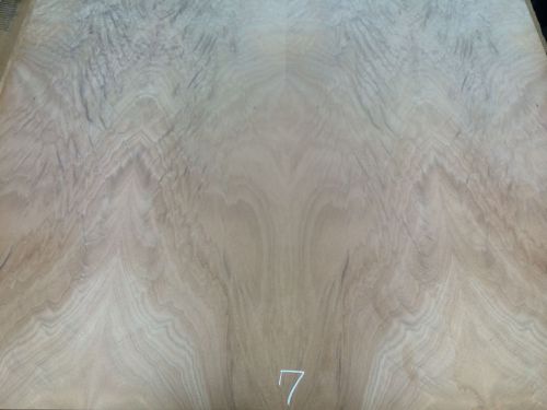 Wood Veneer Crotch Okoume 48x39 1pcs total 20mil Paper Backed &#034;EXOTIC&#034; CRLM7