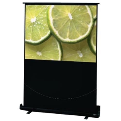 Draper traveller portable projection screen 230120 for sale