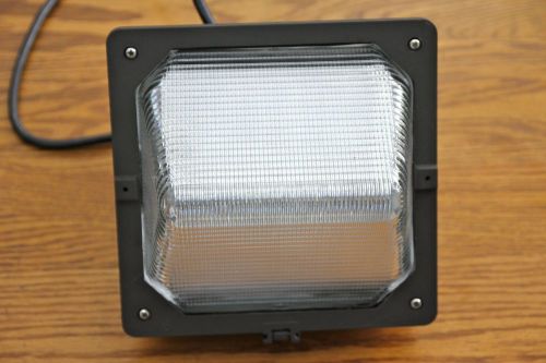 100w Metal Halide Outdoor Light Fixture w/bulb