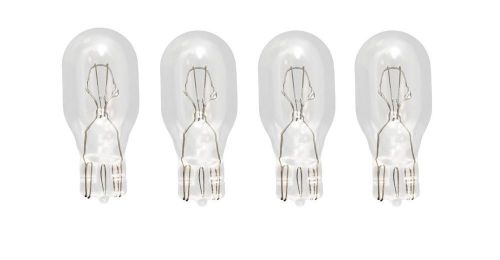 Light Bulbs, Lamps for Bunn Ultra or CDS Hopper Lid, Replaces Bunn 27446.0000