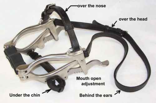 Equine speculum Horse Dental SPECULUM Mouth Gag japanes Steel with warranty new
