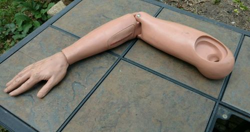Vintage Mannequin Male Right Arm &amp; Hand - Medical Dummy