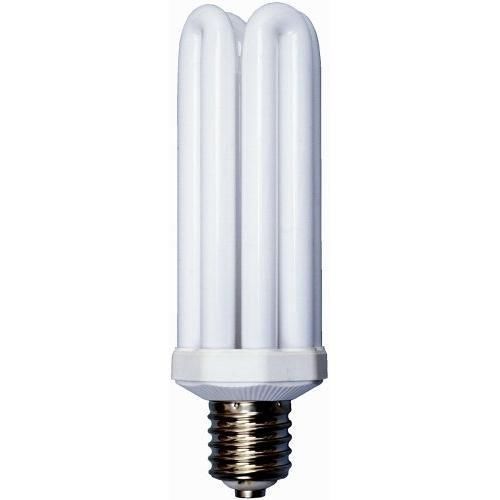 Designers Edge L765 65-Watt Fluorescent Bulb Replacement, Equivalent to 300 New