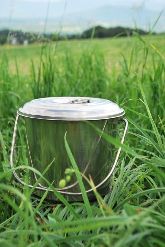 Stainless steel milk pail bucket w/lid 3.5 qt - for goats, and kitchen garbage for sale