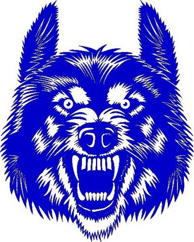 30 Custom Wild Blue Wolf Personalized Address Labels