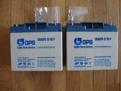 2 New Gruber Power Services  Batteries GPS 58AGPS-12-18-P,  Battery with Screws