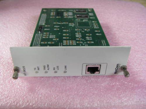 Smartbits Netcom Spirent AT-9025 DS1 for SMB200 SMB2000