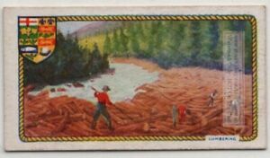 Lumber Harvest In British Empire Colonies c90 Y/O Ad Trade Card