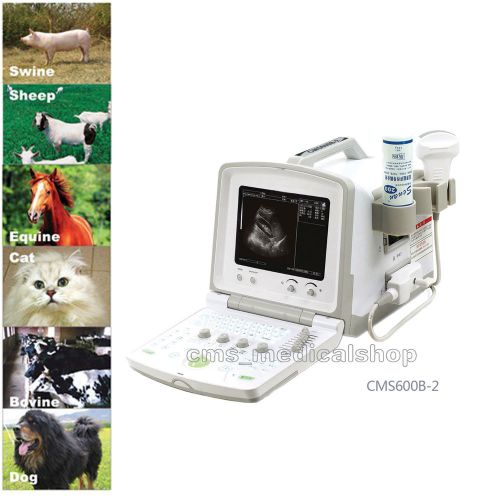 Veterinary CE Approved Portable 6.5Mhz Linear Rectal Probe B-Ultrasound Scanner