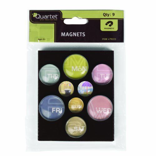 NEW Quartet Bubble Magnets  Day of the Week  Assorted Designs and Colors (79223)