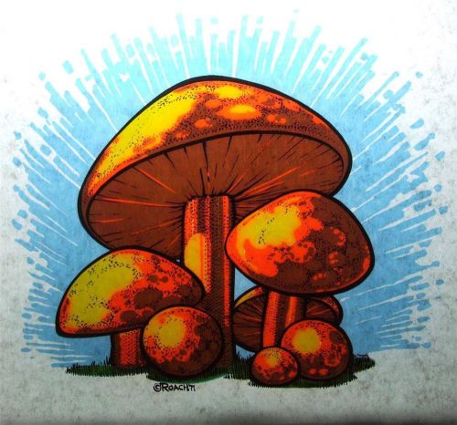 Vintage 1970&#039;s ROACH Day-Glo Heat Transfer Magic Mushrooms Shrooms