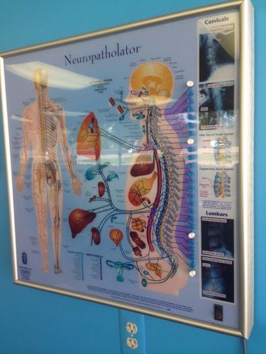New Large Chiropractic Neuropatholator Chiropractor Rare Sold Out!!!