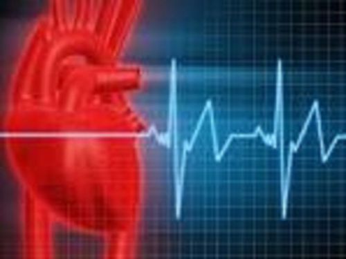 Medical Cardio/The Heart/Patient Assessments 3-DVDS &amp; Bonus CD on Heart Sounds