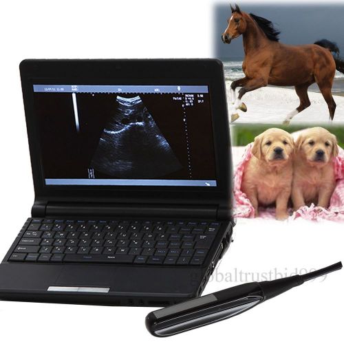 Laptop VET Veterinary Ultrasound Scanner Rectal probe optional convex Animals