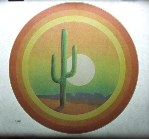 Vintage 1970&#039;s ROACH Shirt Heat Transfer ~ Rainbow Desert Cactus