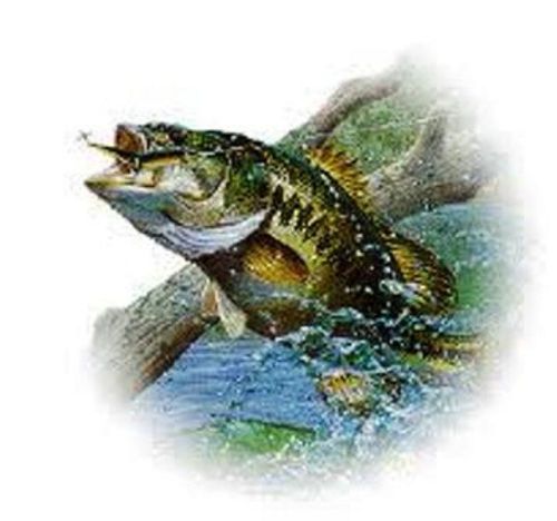 30 Personalized Return Address Fishing Fish Bass Buy 3 get 1 free (bf6)