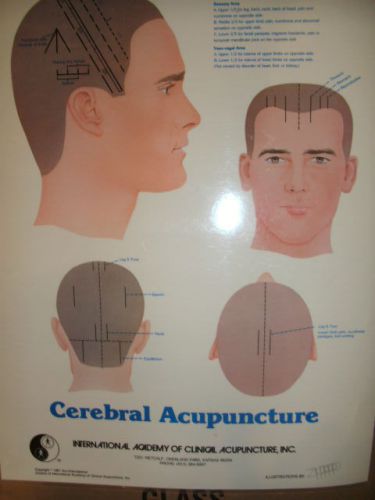 Cerebral Acupunctur International Academy of Clinical Acupuncture