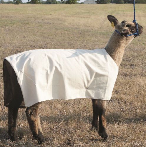 Mustang Brand Cotton Duck Sheep Blanket with Mesh Butt - Medium