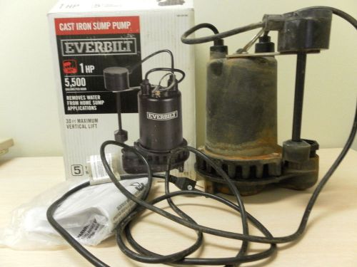 EverBilt PSSP10001VD Cast Iron 1 HP Professional Sump Pump 5500 Gal Per Hr