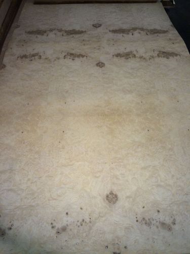 Wood veneer olive ash burl 48x80 1pcs total 10mil paper backed  &#034;exotic&#034;0854.4 for sale