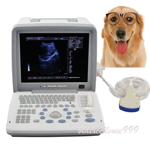 12&#034; Veterinary Portable Digital Ultrasound Scanner Machine Convex Probe Free 3D