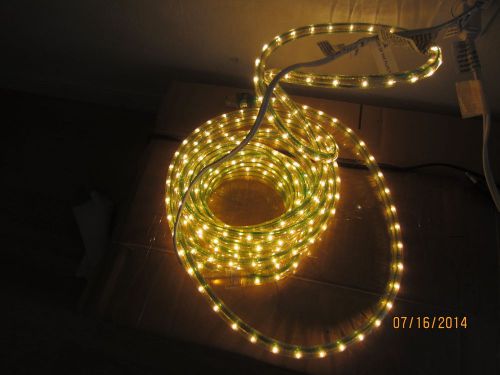 24.5 ft. light Green LED Rope Light 1/2&#034;LED Spacing ; (cable neon light)