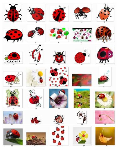 30 Square Stickers Envelope Seals Favor Tags Ladybugs Buy 3 get 1 free (L1)