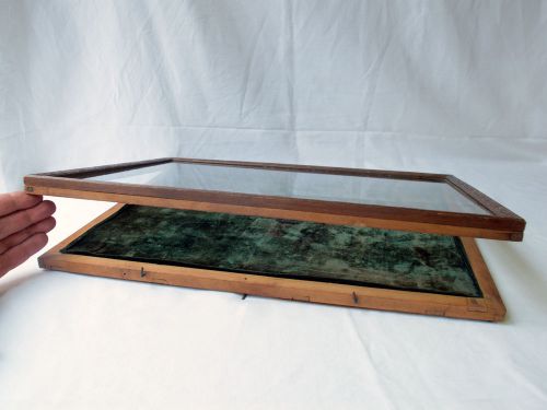 Antique French Art Deco Walnut  Display Case. Antique Dealers / Market Traders