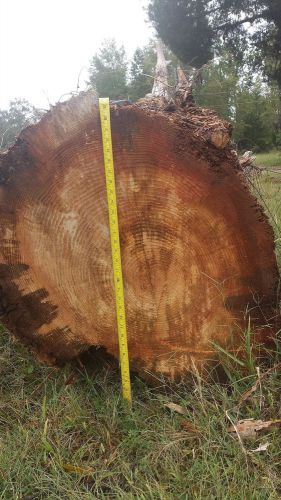 Old Growth Heart Pine Butt Log