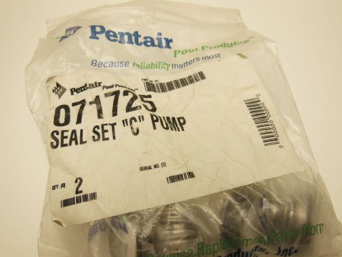Set of 2 NEW Pentair 071725 seals for C pump