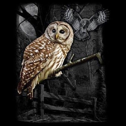 Spotted owl heat press transfer for t shirt sweatshirt tote quilt fabric 218a for sale