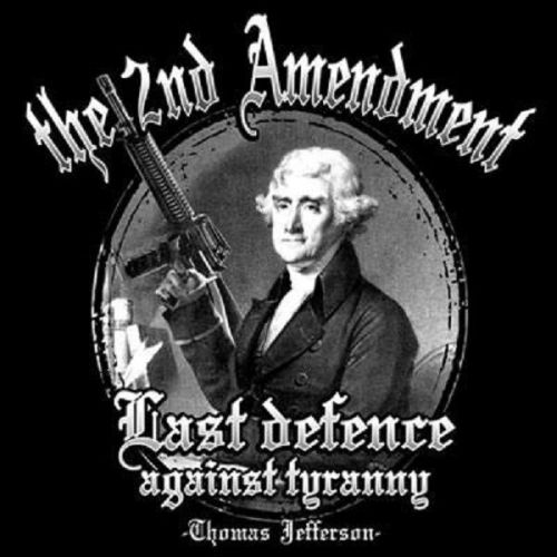Last Defense 2nd Amendment HEAT PRESS TRANSFER for T Shirt Sweatshirt Tote  739n