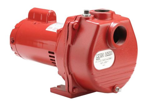 Red lion rlsp-200 2-hp 80-gpm cast iron sprinkler pump for sale